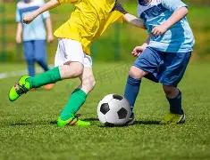 足球场上的,双雄诱惑,弗兰克一天,欧博登录入口,欧博平台,欧博注册网址,欧博app,欧博官网,欧博网站,欧博网页版